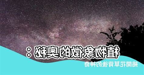 植物 象徵